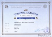 Превью фото № 217485