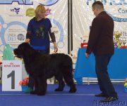 Превью фото № 217550