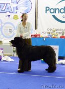 Превью фото № 217552