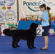 Превью фото № 217554