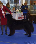 Превью фото № 217555