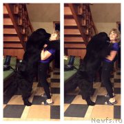 Превью фото № 217573