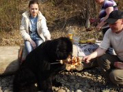 Превью фото № 217662