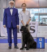 Превью фото № 217682