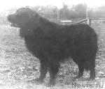 Превью фото № 2177