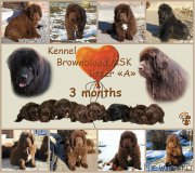 Превью фото № 217768