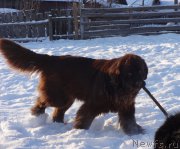 Превью фото № 217809