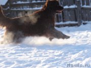 Превью фото № 217815