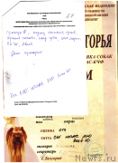 Превью фото № 217858