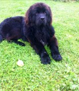 Превью фото № 217933