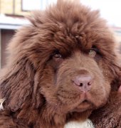 Превью фото № 217987