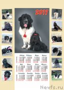 Превью фото № 218002