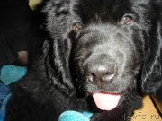 Превью фото № 218078