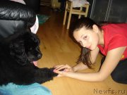 Превью фото № 218080