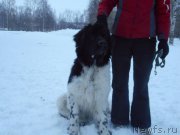 Превью фото № 218082