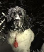 Превью фото № 218104