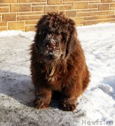 Превью фото № 218132