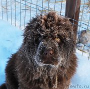 Превью фото № 218139