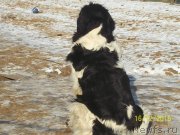 Превью фото № 218141