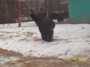 Превью фото № 218157