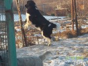 Превью фото № 218158