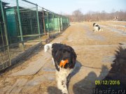 Превью фото № 218160