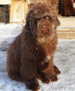 Превью фото № 218166