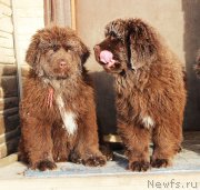 Превью фото № 218174