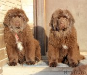 Превью фото № 218176