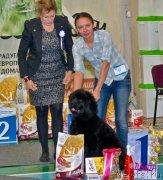 Превью фото № 218283