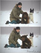 Превью фото № 218294