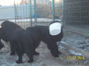 Превью фото № 218304