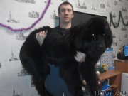 Превью фото № 218308