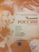 Превью фото № 218311