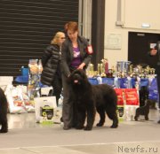 Превью фото № 218359