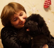 Превью фото № 218379