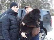 Превью фото № 218580