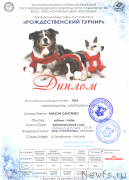 Превью фото № 218594