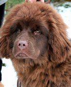 Превью фото № 218659