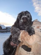 Превью фото № 218664