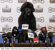 Превью фото № 218670