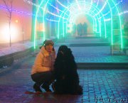 Превью фото № 218706