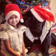 Превью фото № 218720