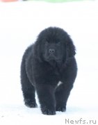 Превью фото № 218759