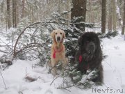 Превью фото № 218826