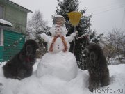 Превью фото № 218834