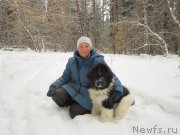 Превью фото № 218866