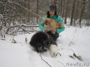 Превью фото № 218867