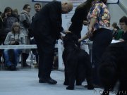 Превью фото № 218932