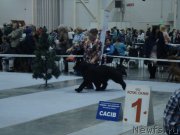 Превью фото № 218941